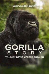 A Gorilla Story เล่าเรื่องกอริลลา โดยเดวิด แอทเทนเบอเรอห์ เซอร์เดวิด (2026)