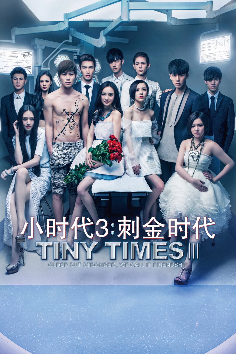 Tiny Times 3 (2014)