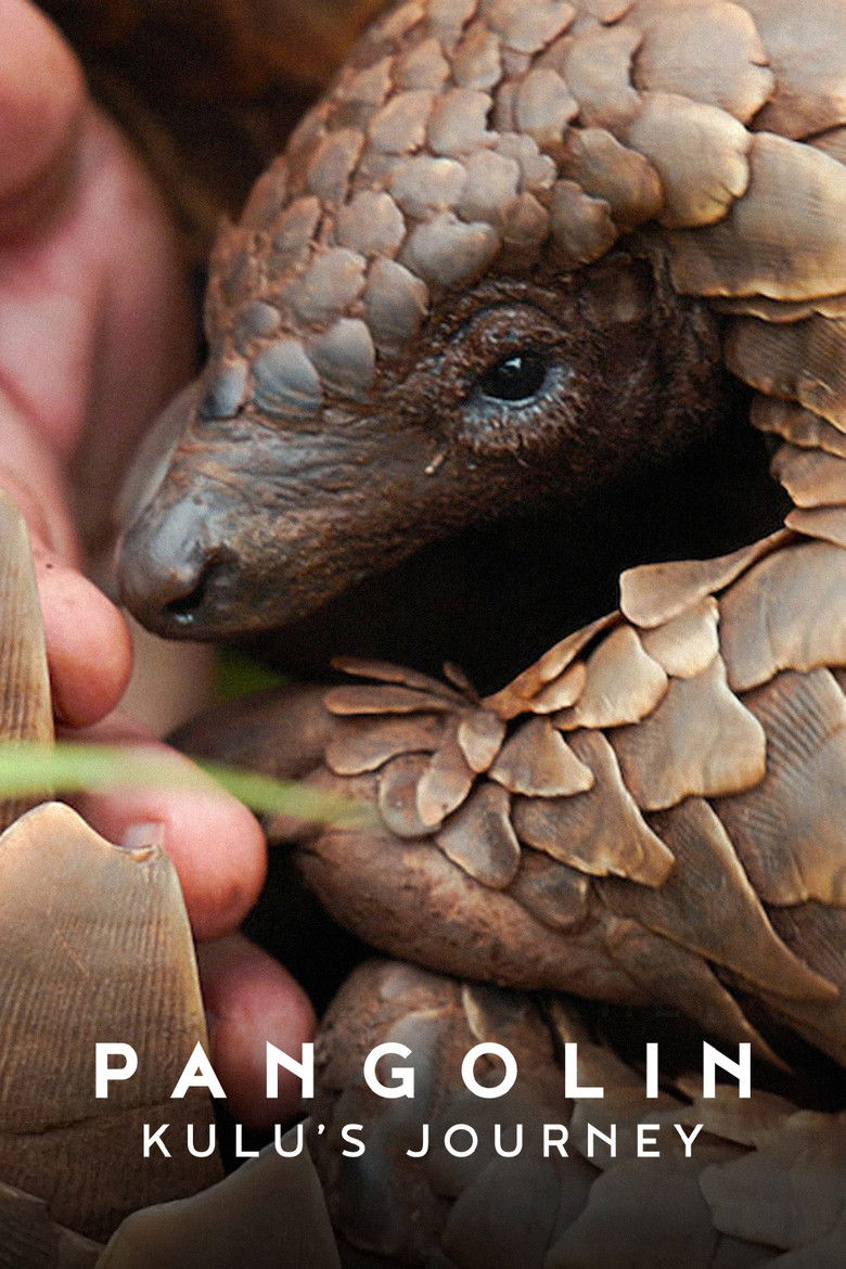 Pangolin Kulu s Journey  การเดินทางของคูลู (2025)