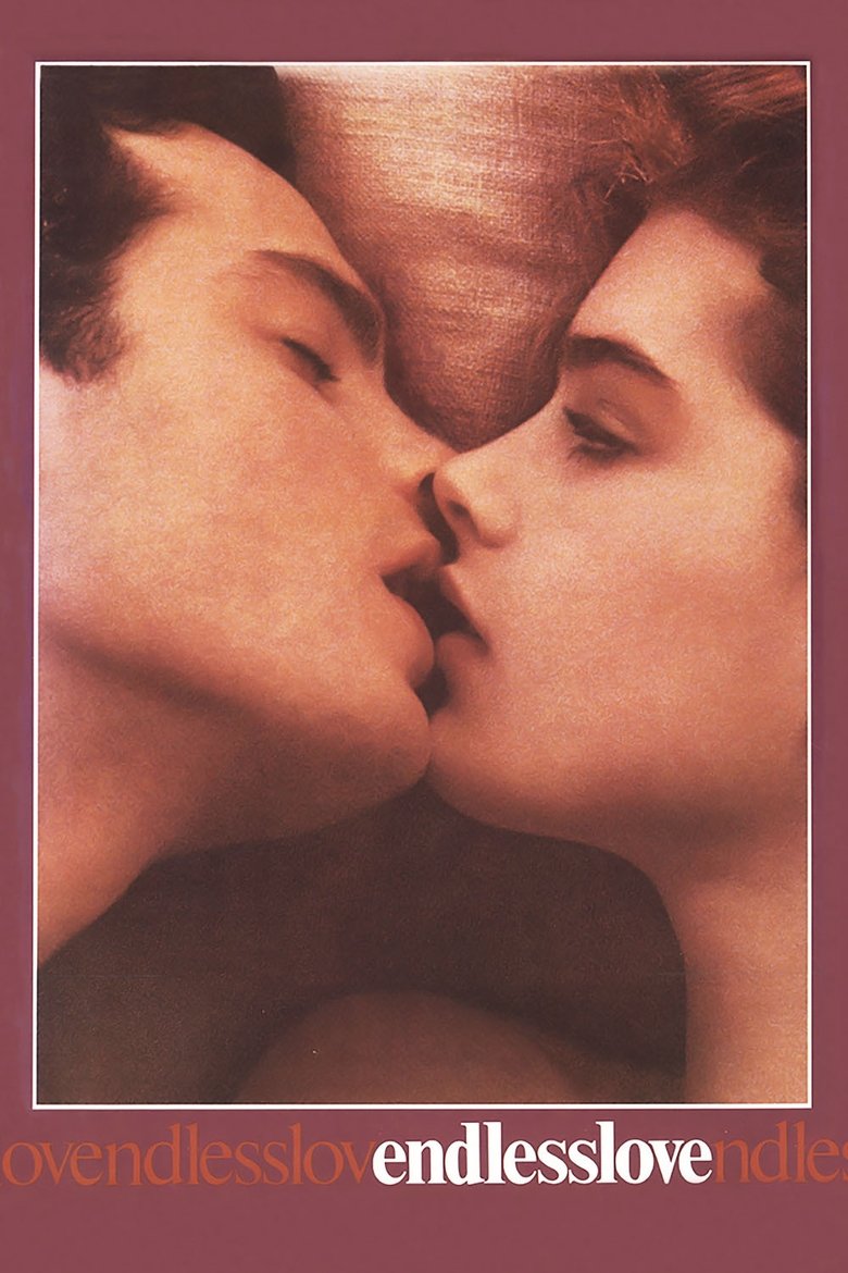 Endless Love  วุ่นรักไม่รู้จบ (1981)