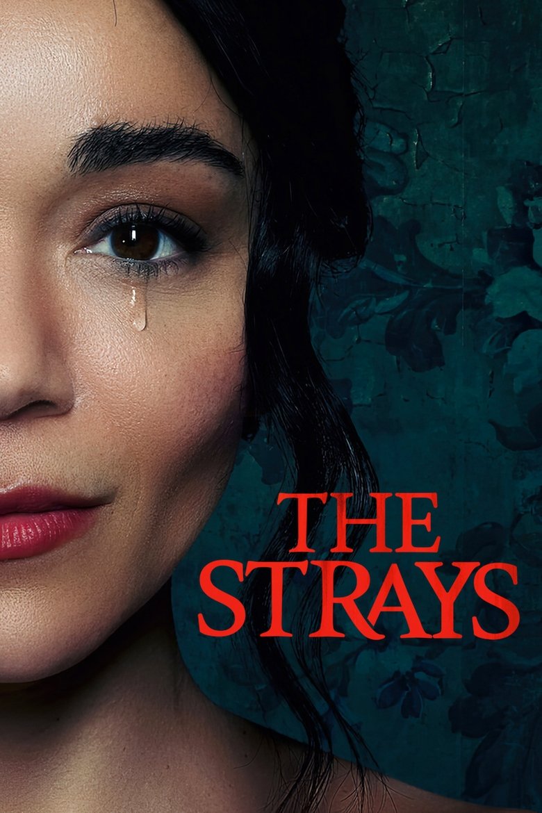 The Strays คนหลงทาง (2023)