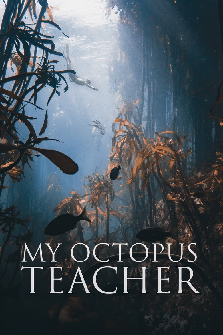 My Octopus Teacher  บทเรียนจากปลาหมึก (2020)