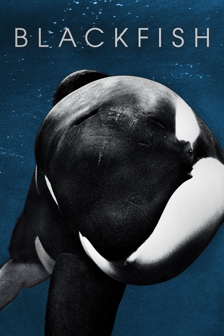 Blackfish แบล็คฟิช วาฬเพชฌฆาต (2013)