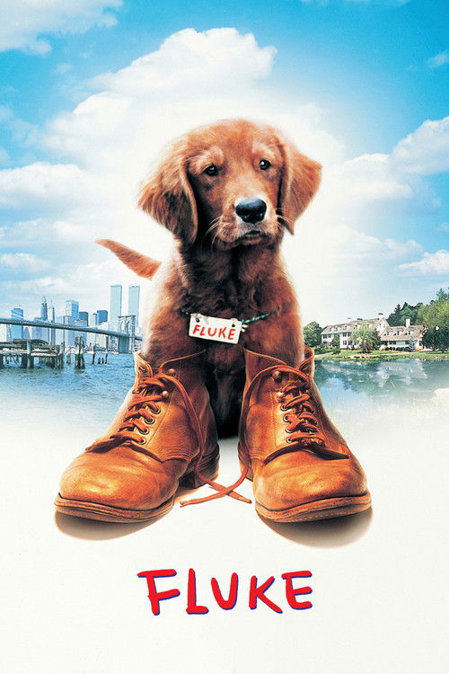 Fluke (1995)
