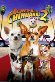 Beverly Hills Chihuahua 2 (2011) | NuengDee24