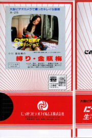 Jin Pin Mei (1996) | NuengDee24