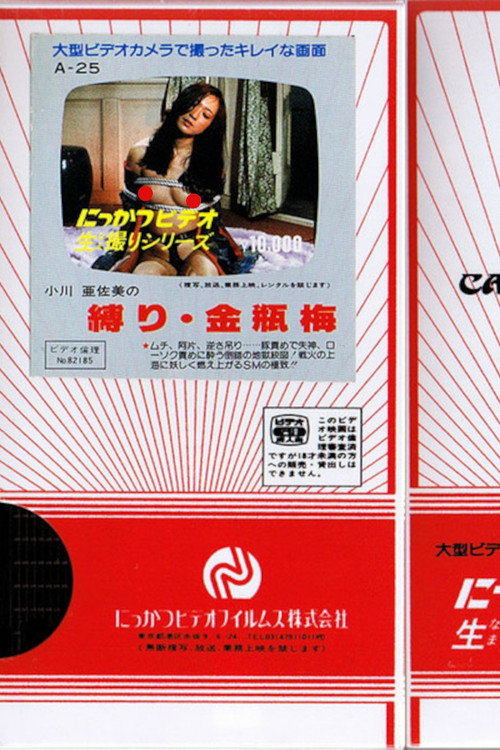 Jin Pin Mei (1996)