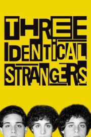 Three Identical Strangers (2018) | NuengDee24