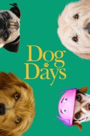 Dog Days (2018) | NuengDee24