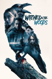 Witches in the Woods (2019) | NuengDee24