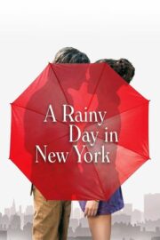 A Rainy Day in New York (2019) | NuengDee24