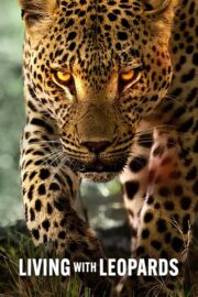 Living with Leopards (2024) | NuengDee24