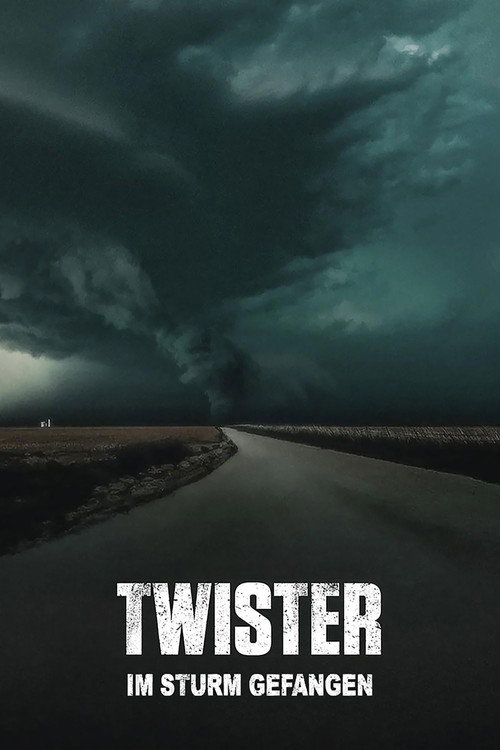 The Twister: Caught in the Storm (2025)