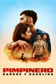 ล่าแค้นแดนน้ำมันเถื่อน (Pimpinero: Blood and Oil 2024) | NuengDee24
