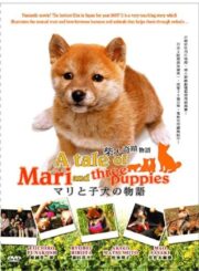 ชื่อ มาริ (A Tale of Mari and Three Puppies (Mari to koinu no monogatari) 2007) | NuengDee24