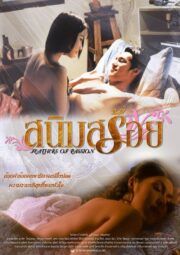 สนิมสร้อย Feathers of Passion ( 2003) | NuengDee24